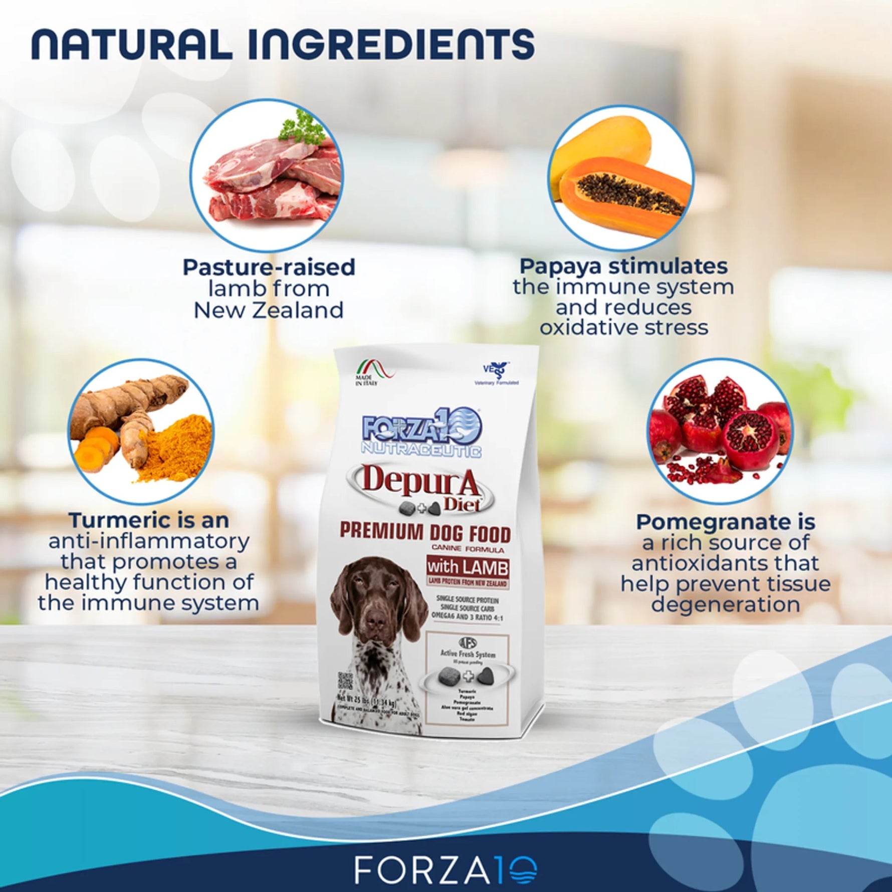 Forza10 Active Depura Diet Lamb Dry Dog Food-AMAZON FACTORY