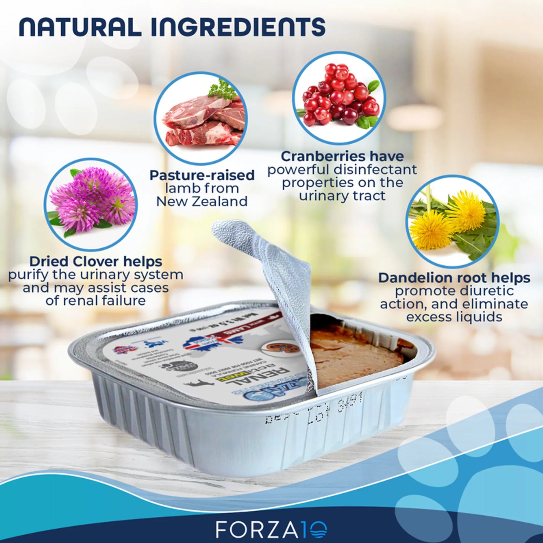 Forza10 Actiwet Renal Support Canned Dog Food-AMAZON FACTORY