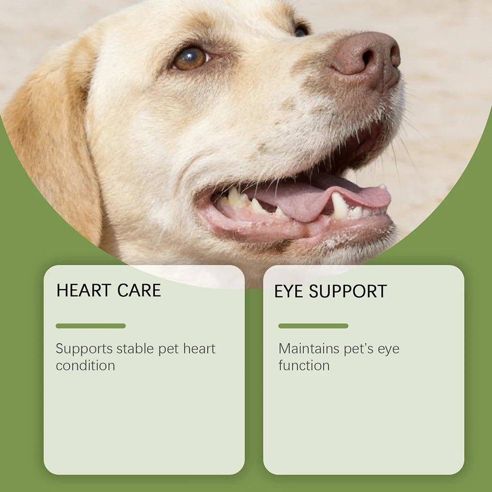 Gentle Canine Taurine Supplement For Daily Care Essential Daily Nutritional Support. Health Aging Support - AMAZON FACTORY