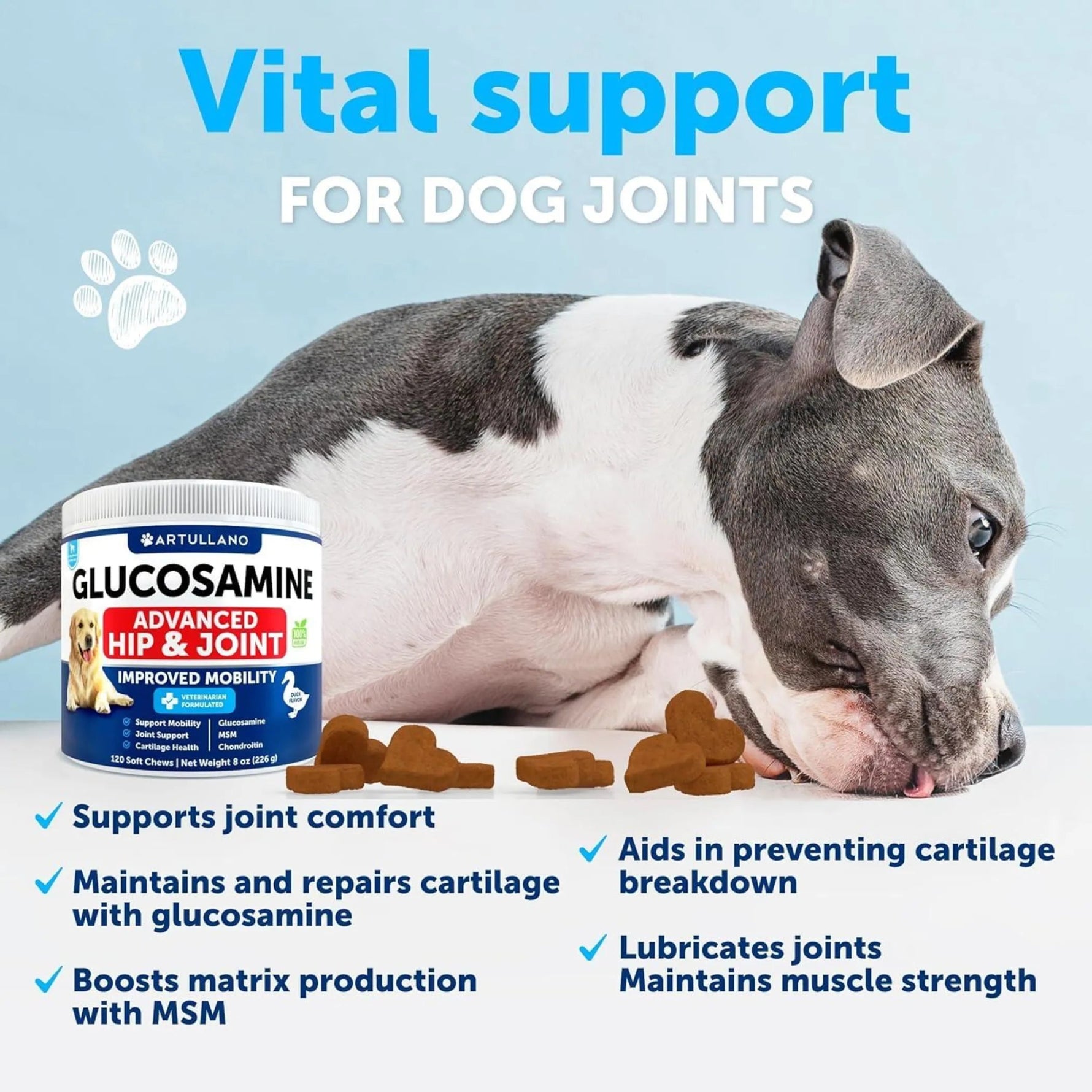 Glucosamine Advanced Hip and Joint Supplement-AMAZON FACTORY