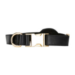 Golden Leather Dog Collars with *Apple Air-Tag Slot|*Apple Airplay devices are not included with the collar.-AMAZON FACTORY