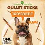 Gullet Sticks 100% Natural Beef Esophagus Dog Chews-AMAZON FACTORY