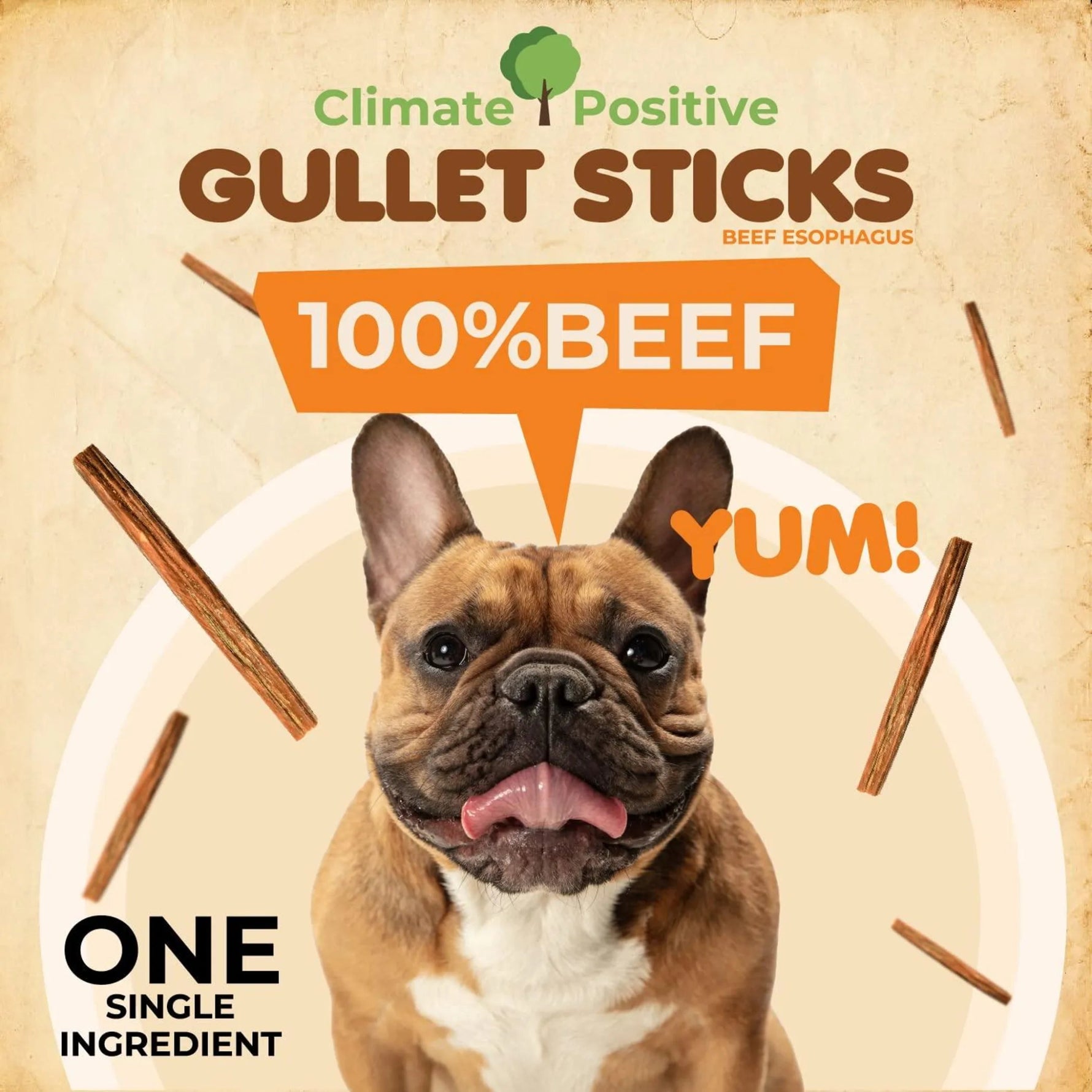 Gullet Sticks 100% Natural Beef Esophagus Dog Chews-AMAZON FACTORY