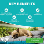 Hemp Calming Chews for Dogs & Puppy-AMAZON FACTORY