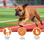 Hip And Joint Supplement Dogs Chewable Pill Nutrient 100 - piece Joint Support For Dogs For Home Travel Daily Care Digestive - AMAZON FACTORY