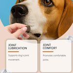 Hip And Joint Supplement Dogs Chewable Pill Nutrient 100 - piece Joint Support For Dogs For Home Travel Daily Care Digestive - AMAZON FACTORY