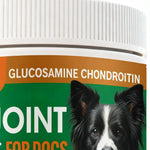 Joint Supplement For Dogs Chewable Pill 100 - piece Dog Hip & Joint Care For Home Travel Daily Care Digestive Absorption Pet - AMAZON FACTORY