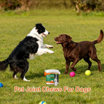 Joint Supplement For Dogs Chewable Pill 100 - piece Dog Hip & Joint Care For Home Travel Daily Care Digestive Absorption Pet - AMAZON FACTORY