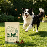 Kriath Daily Gut Care Supplement Relieve Gastrointestinal Discomfort Smooth Silky Hair Protecting Health Dog Probiotic Soft Chew - AMAZON FACTORY