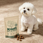 Kriath Daily Gut Care Supplement Relieve Gastrointestinal Discomfort Smooth Silky Hair Protecting Health Dog Probiotic Soft Chew - AMAZON FACTORY