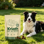 Kriath Daily Gut Care Supplement Relieve Gastrointestinal Discomfort Smooth Silky Hair Protecting Health Dog Probiotic Soft Chew - AMAZON FACTORY