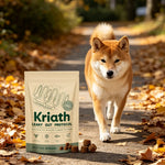 Kriath Daily Gut Care Supplement Relieve Gastrointestinal Discomfort Smooth Silky Hair Protecting Health Dog Probiotic Soft Chew - AMAZON FACTORY