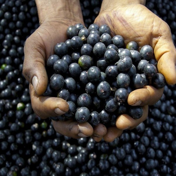 Max Detox – Acai Berry Complex-AMAZON FACTORY