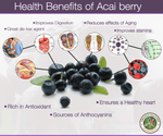 Max Detox – Acai Berry Complex-AMAZON FACTORY