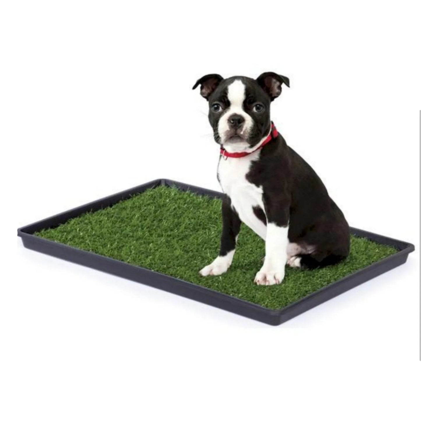 Mr. Peanut's Potty Place - Artificial Grass Puppy Pad for Dogs and Small Pets - AMAZON FACTORY