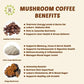 Mushroom Coffee Fusion - Lion’s Mane & Chaga 16oz - AMAZON FACTORY