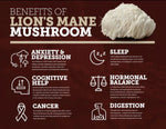 Mushroom Coffee Fusion - Lion’s Mane & Chaga 4oz-AMAZON FACTORY