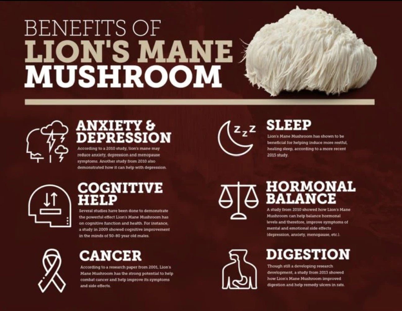 Mushroom Coffee Fusion - Lion’s Mane & Chaga 4oz - AMAZON FACTORY