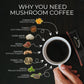 Mushroom Coffee Fusion - Lion’s Mane & Chaga 4oz - AMAZON FACTORY
