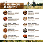 Mushroom Extract Complex Gummies-AMAZON FACTORY