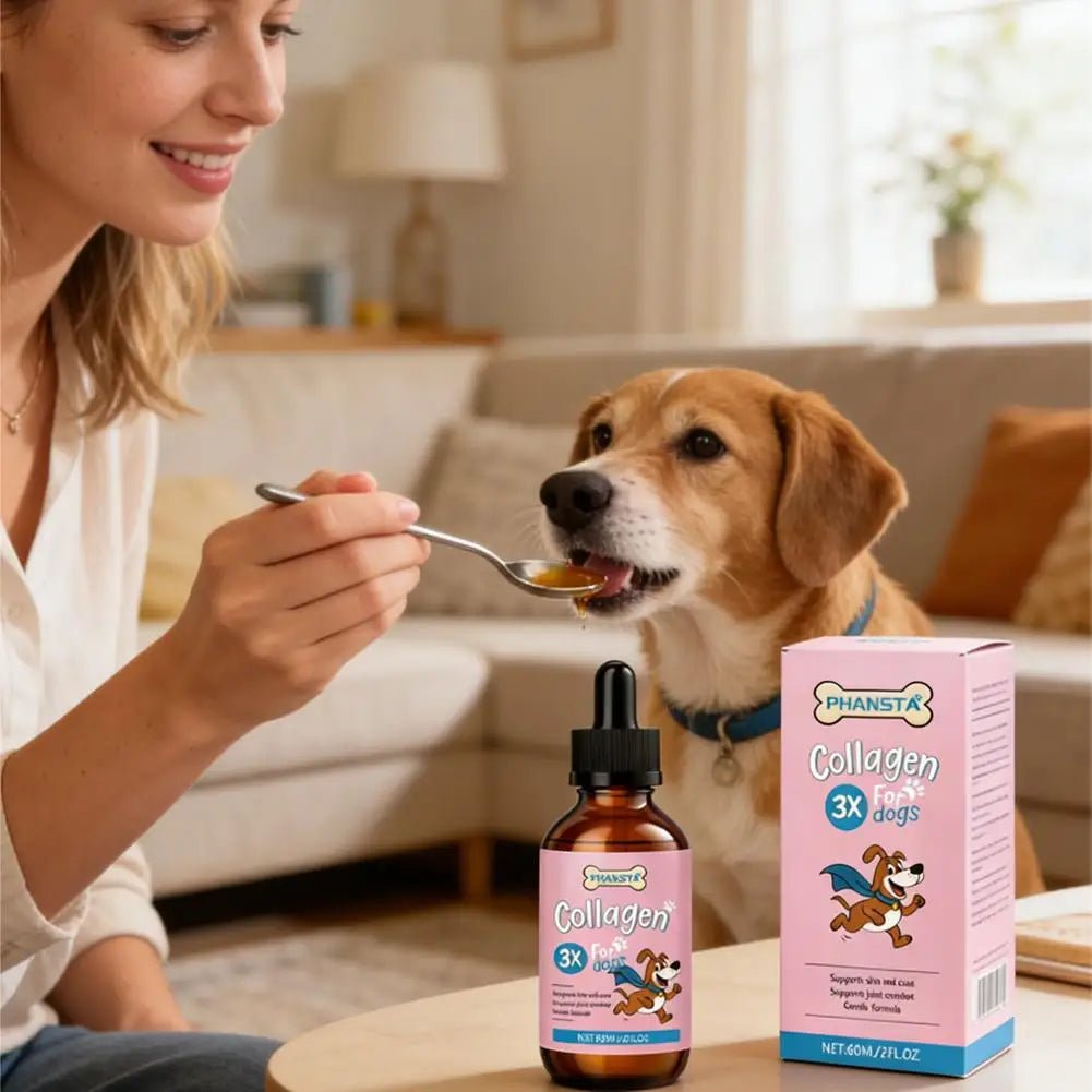 Professional 3X Collagen For Dogs Skin Coat Health Supplement Joint Care Liquid Drops Gentle Formula Pet Healthcare Essence Q7G4 - AMAZON FACTORY