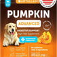 Pumpkin Powder for Dogs Digestive Support - AMAZON FACTORY