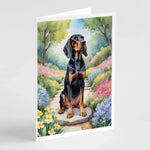Spring Path Greeting Cards - Size: 5X7 | Pack Of: 8 | Collection name: Spring path-AMAZON FACTORY