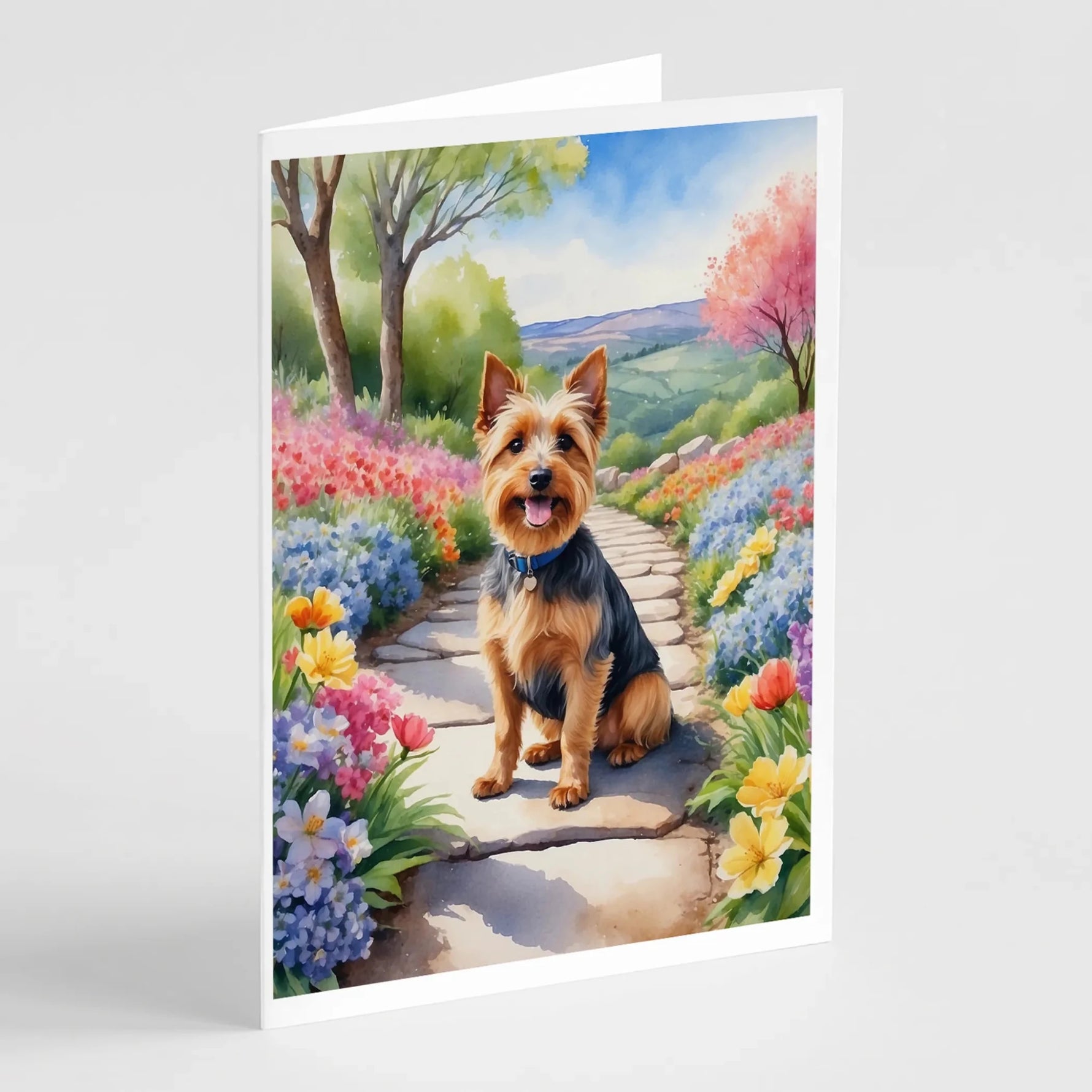 Spring Path Greeting Cards - Size: 5X7 | Pack Of: 8 | Collection name: Spring path-AMAZON FACTORY