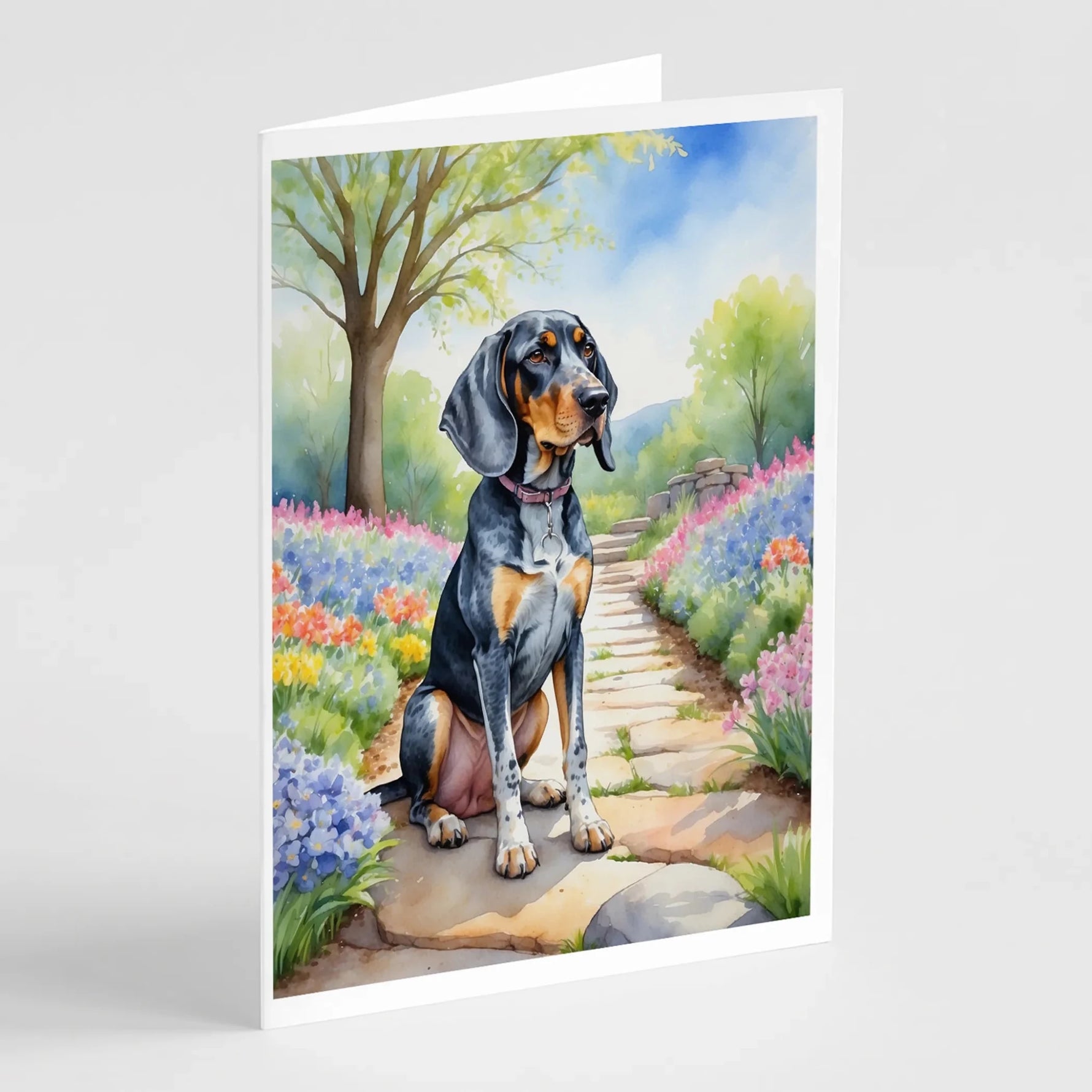 Spring Path Greeting Cards - Size: 5X7 | Pack Of: 8 | Collection name: Spring path-AMAZON FACTORY