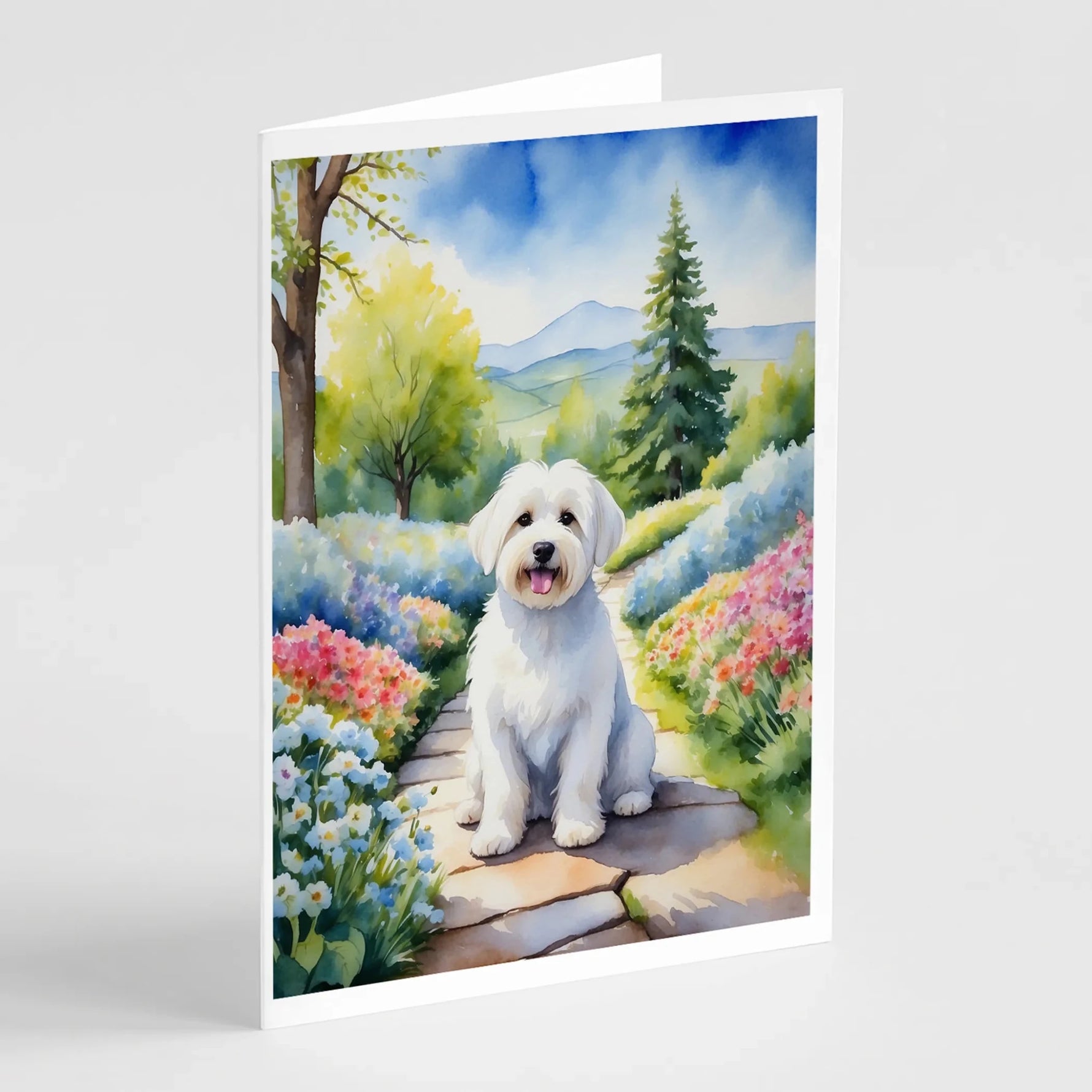 Spring Path Greeting Cards - Size: 5X7 | Pack Of: 8 | Collection name: Spring path-AMAZON FACTORY