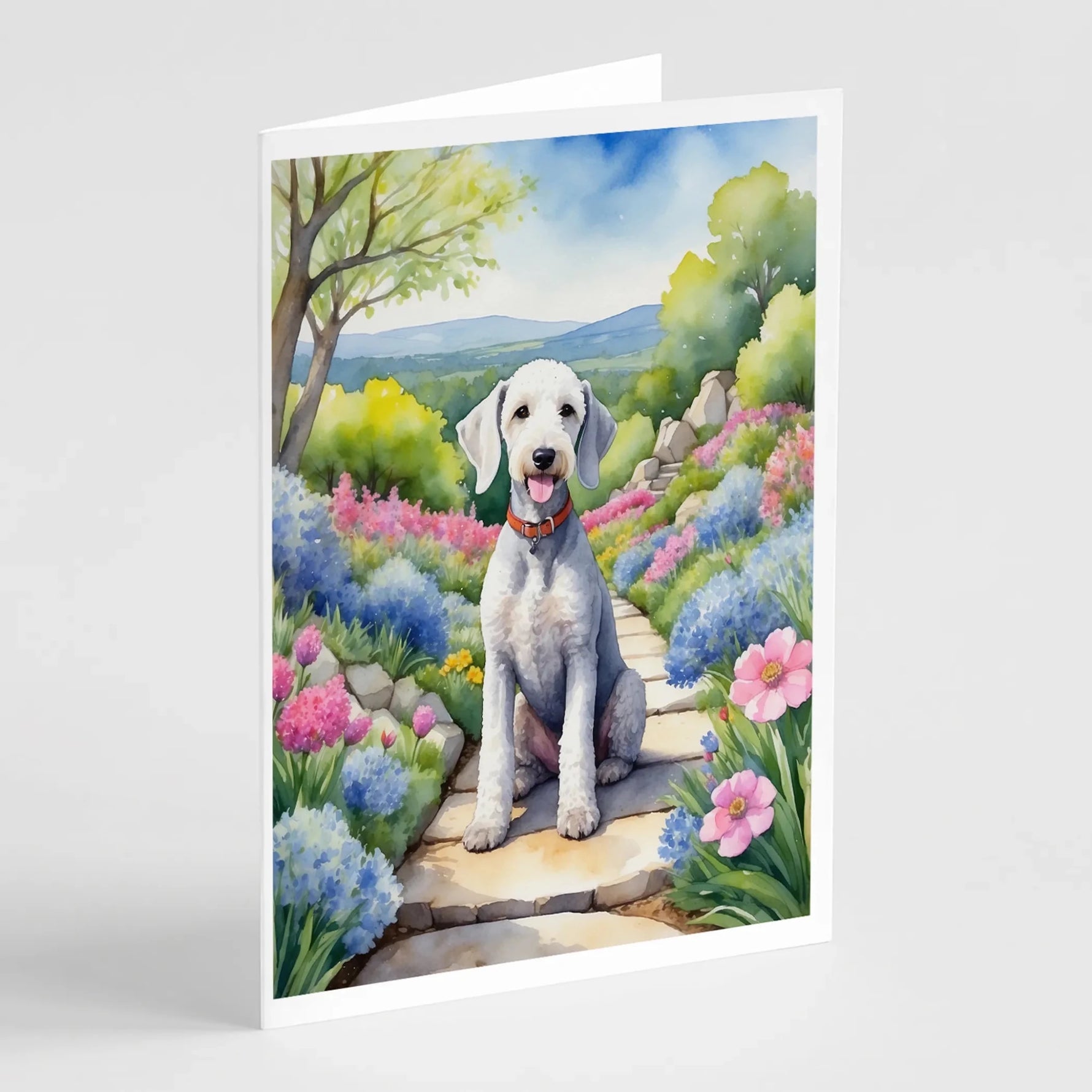 Spring Path Greeting Cards - Size: 5X7 | Pack Of: 8 | Collection name: Spring path-AMAZON FACTORY