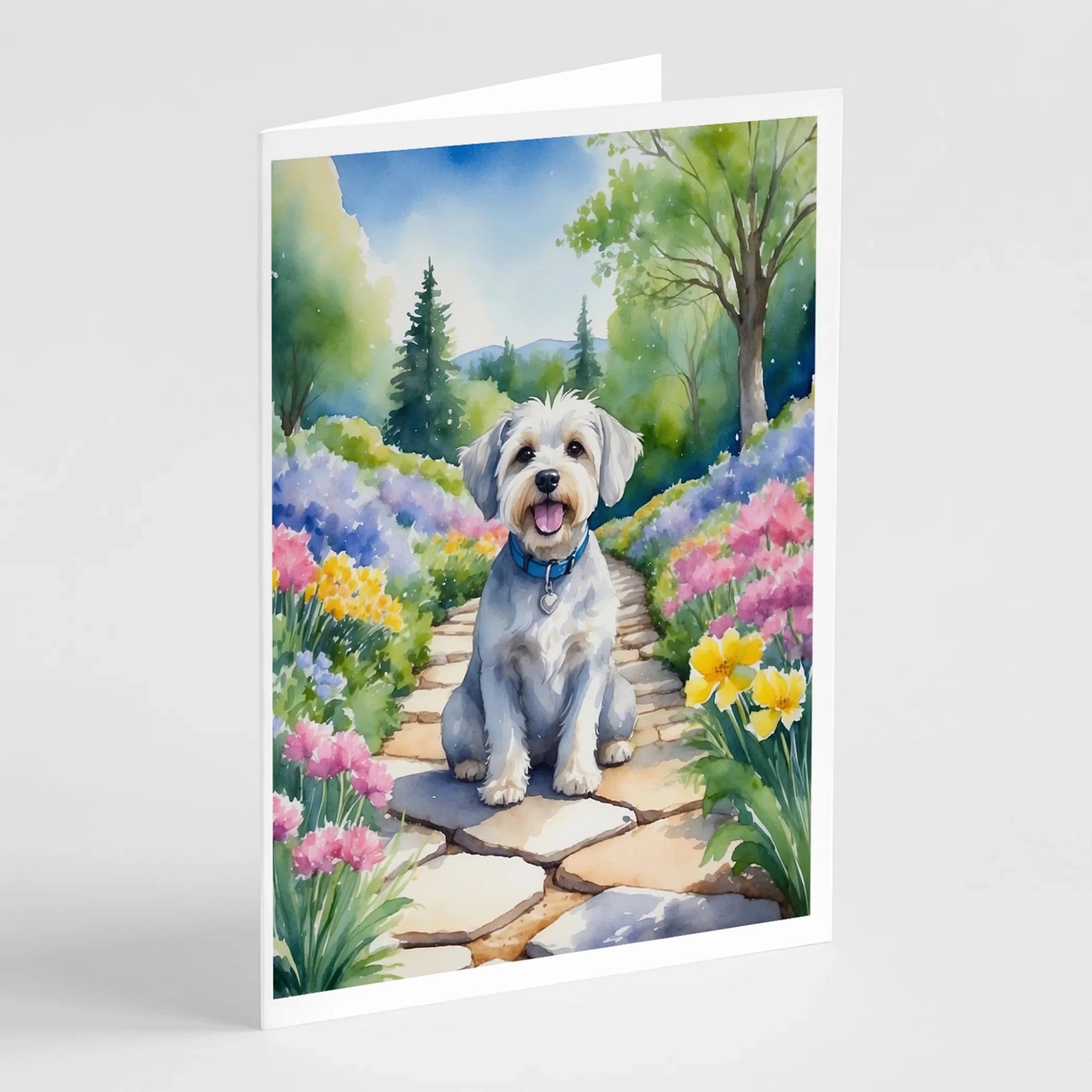 Spring Path Greeting Cards - Size: 5X7 | Pack Of: 8 | Collection name: Spring path-AMAZON FACTORY