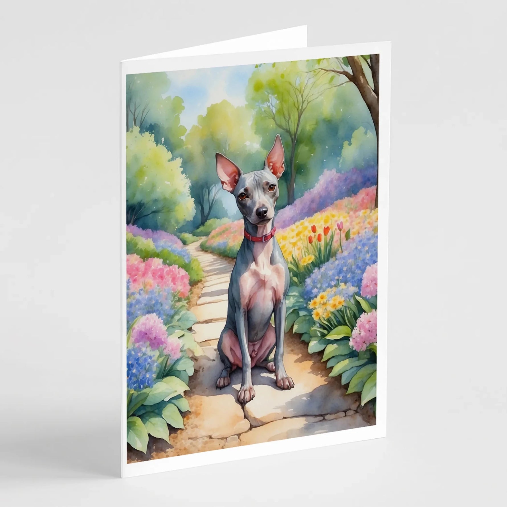 Spring Path Greeting Cards - Size: 5X7 | Pack Of: 8 | Collection name: Spring path-AMAZON FACTORY