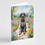 Spring Path Greeting Cards - Size: 5X7 | Pack Of: 8 | Collection name: Spring path-AMAZON FACTORY
