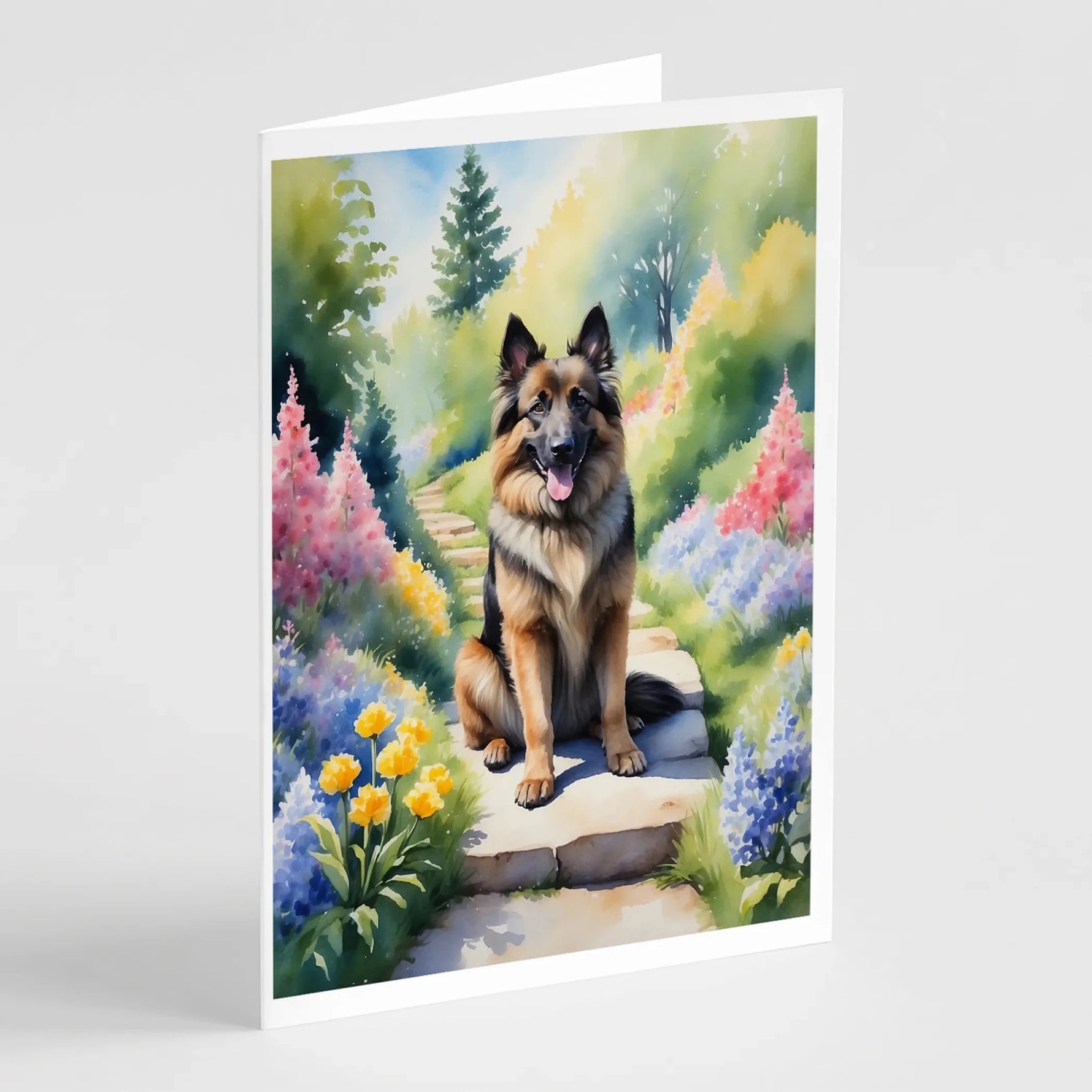 Spring Path Greeting Cards - Size: 5X7 | Pack Of: 8 | Collection name: Spring path-AMAZON FACTORY