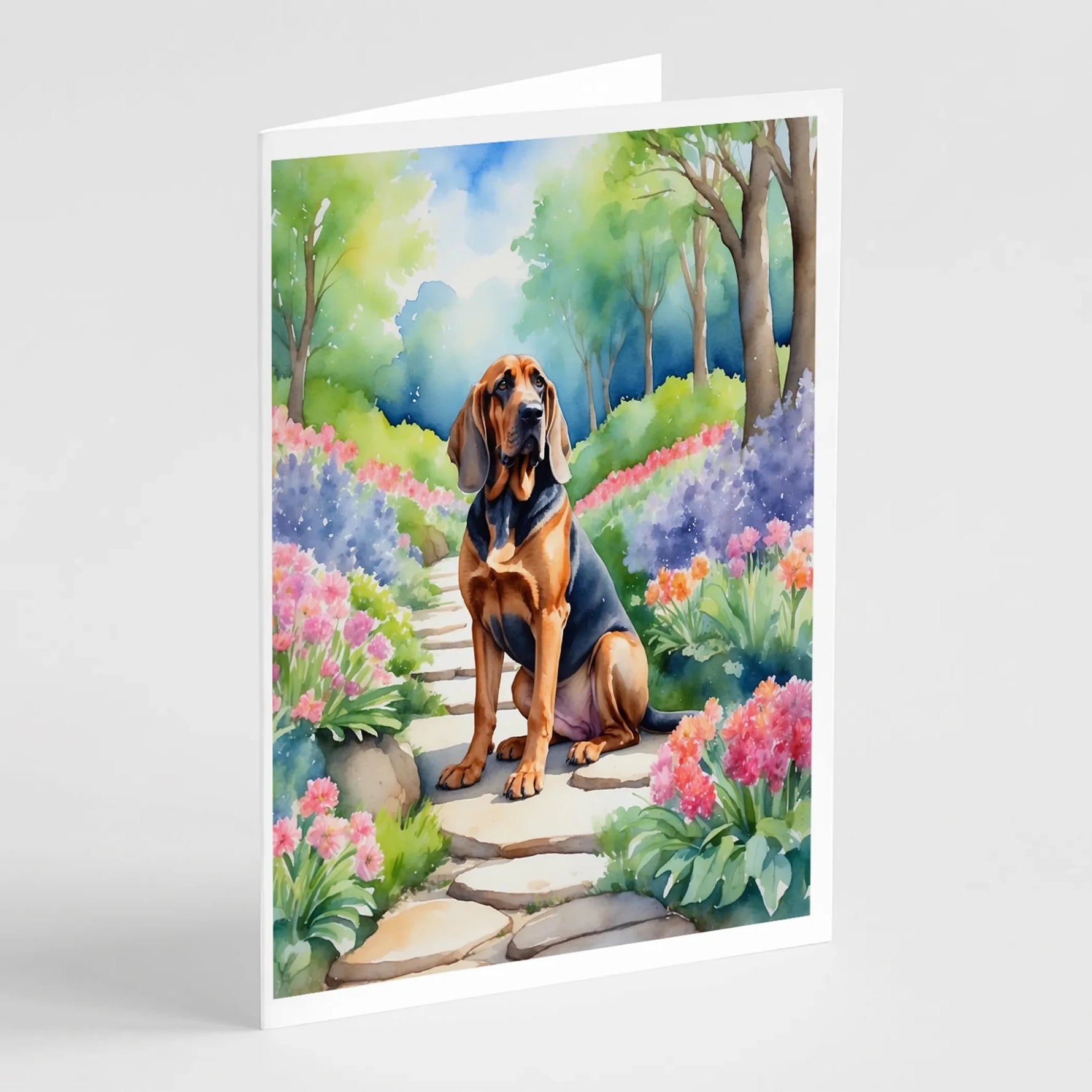 Spring Path Greeting Cards - Size: 5X7 | Pack Of: 8 | Collection name: Spring path-AMAZON FACTORY