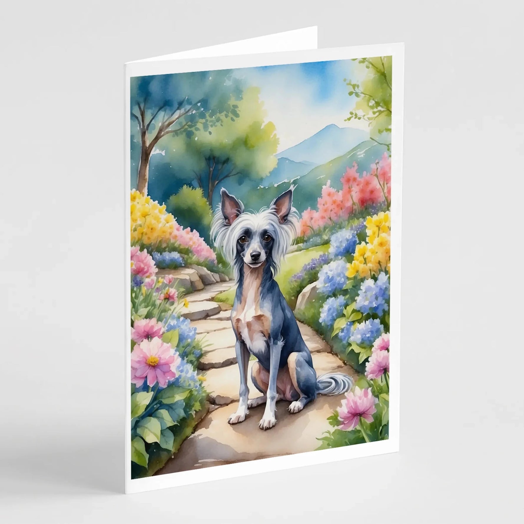 Spring Path Greeting Cards - Size: 5X7 | Pack Of: 8 | Collection name: Spring path-AMAZON FACTORY