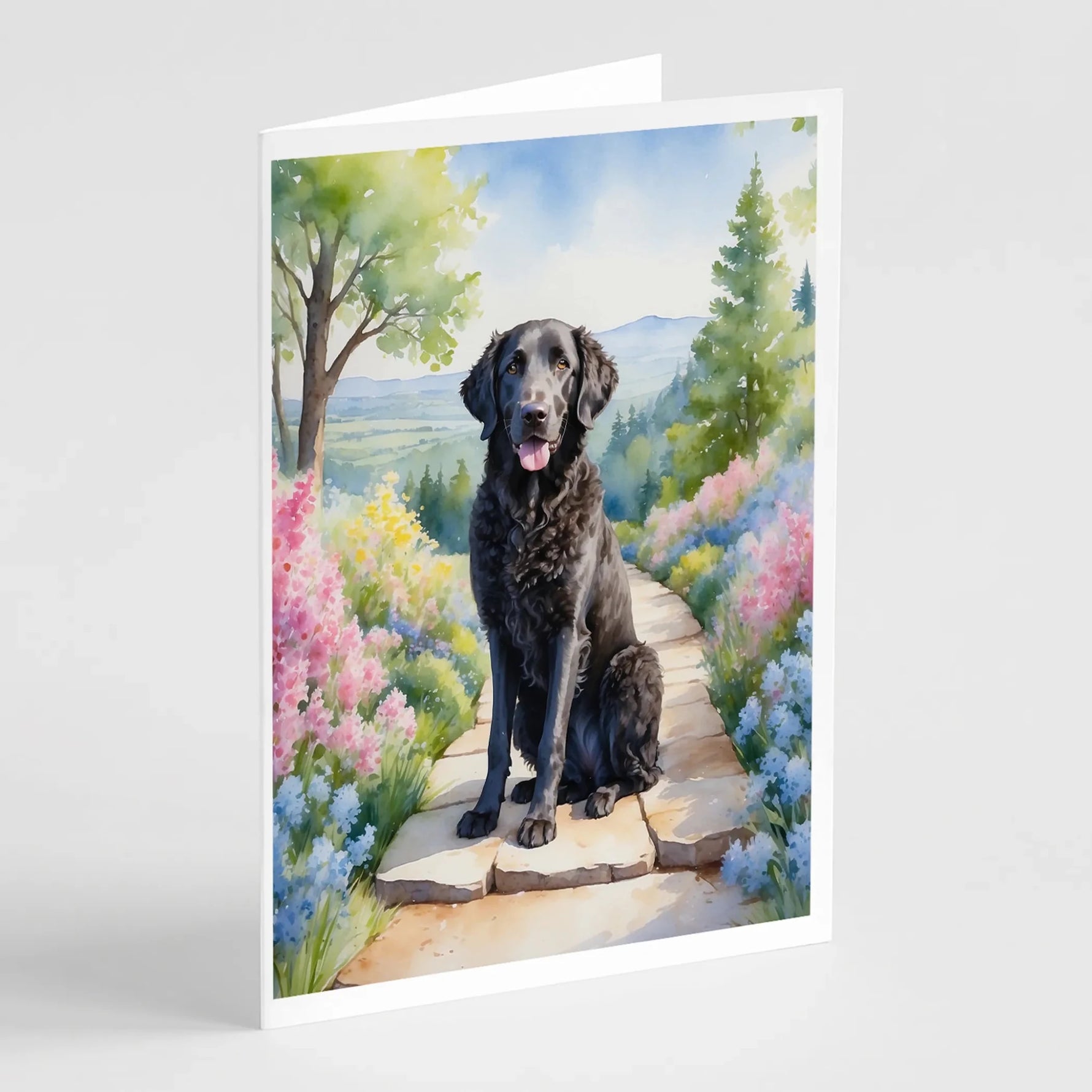 Spring Path Greeting Cards - Size: 5X7 | Pack Of: 8 | Collection name: Spring path-AMAZON FACTORY