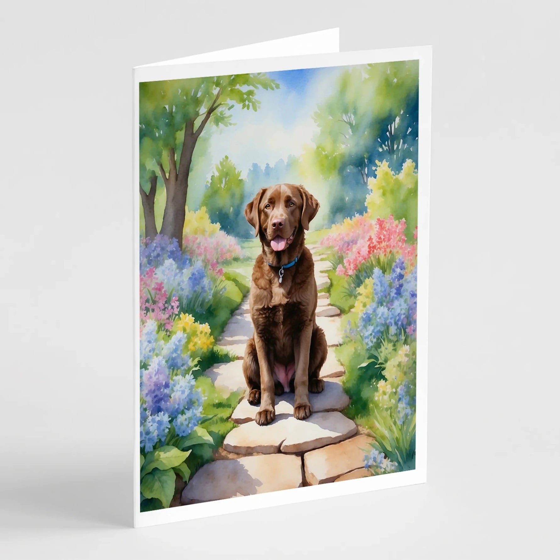 Spring Path Greeting Cards - Size: 5X7 | Pack Of: 8 | Collection name: Spring path-AMAZON FACTORY