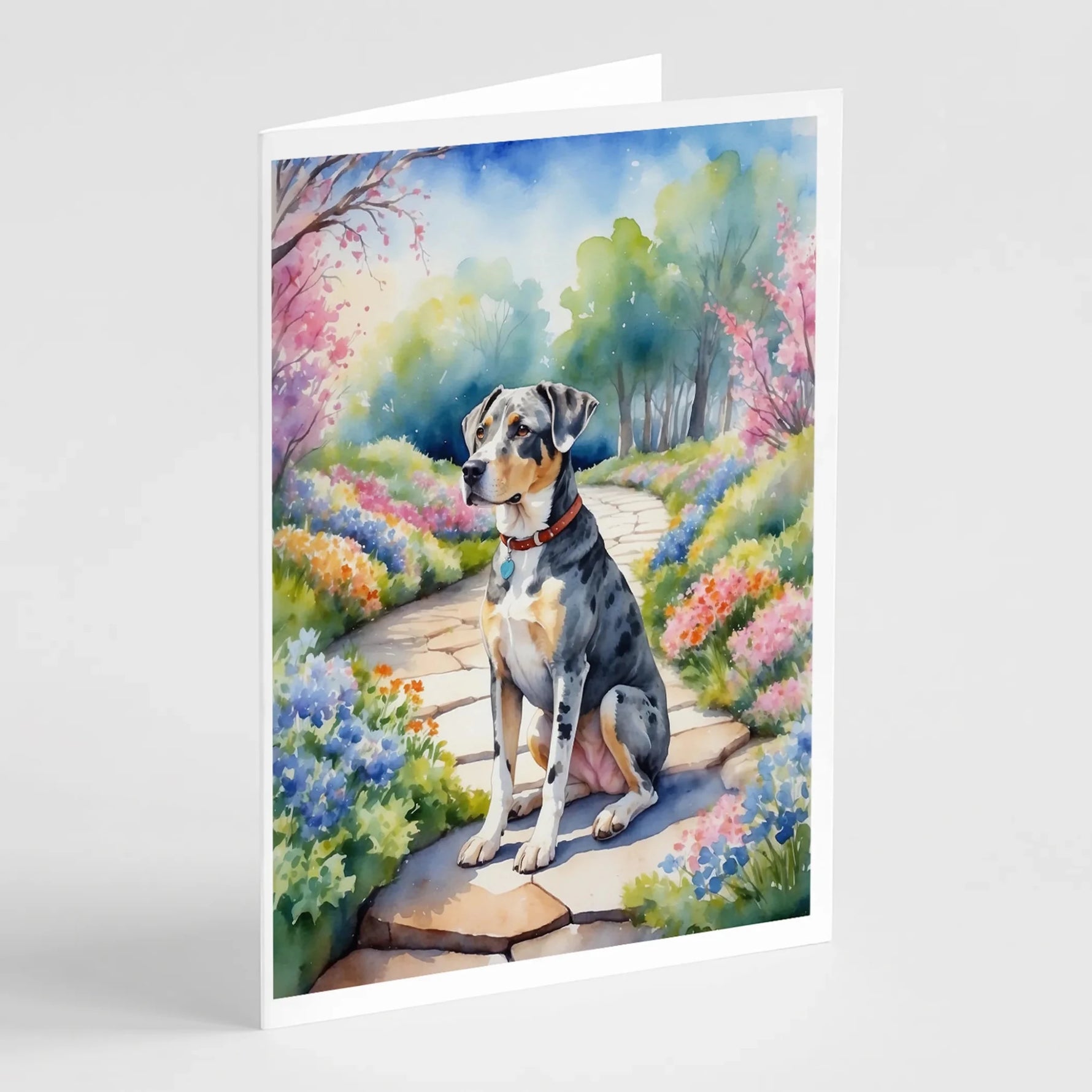 Spring Path Greeting Cards - Size: 5X7 | Pack Of: 8 | Collection name: Spring path-AMAZON FACTORY