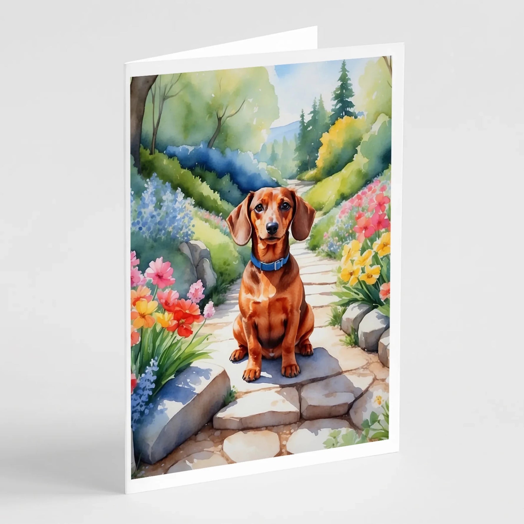 Spring Path Greeting Cards - Size: 5X7 | Pack Of: 8 | Collection name: Spring path-AMAZON FACTORY