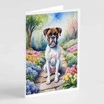 Spring Path Greeting Cards - Size: 5X7 | Pack Of: 8 | Collection name: Spring path-AMAZON FACTORY