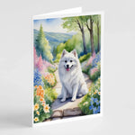 Spring Path Greeting Cards - Size: 5X7 | Pack Of: 8 | Collection name: Spring path-AMAZON FACTORY