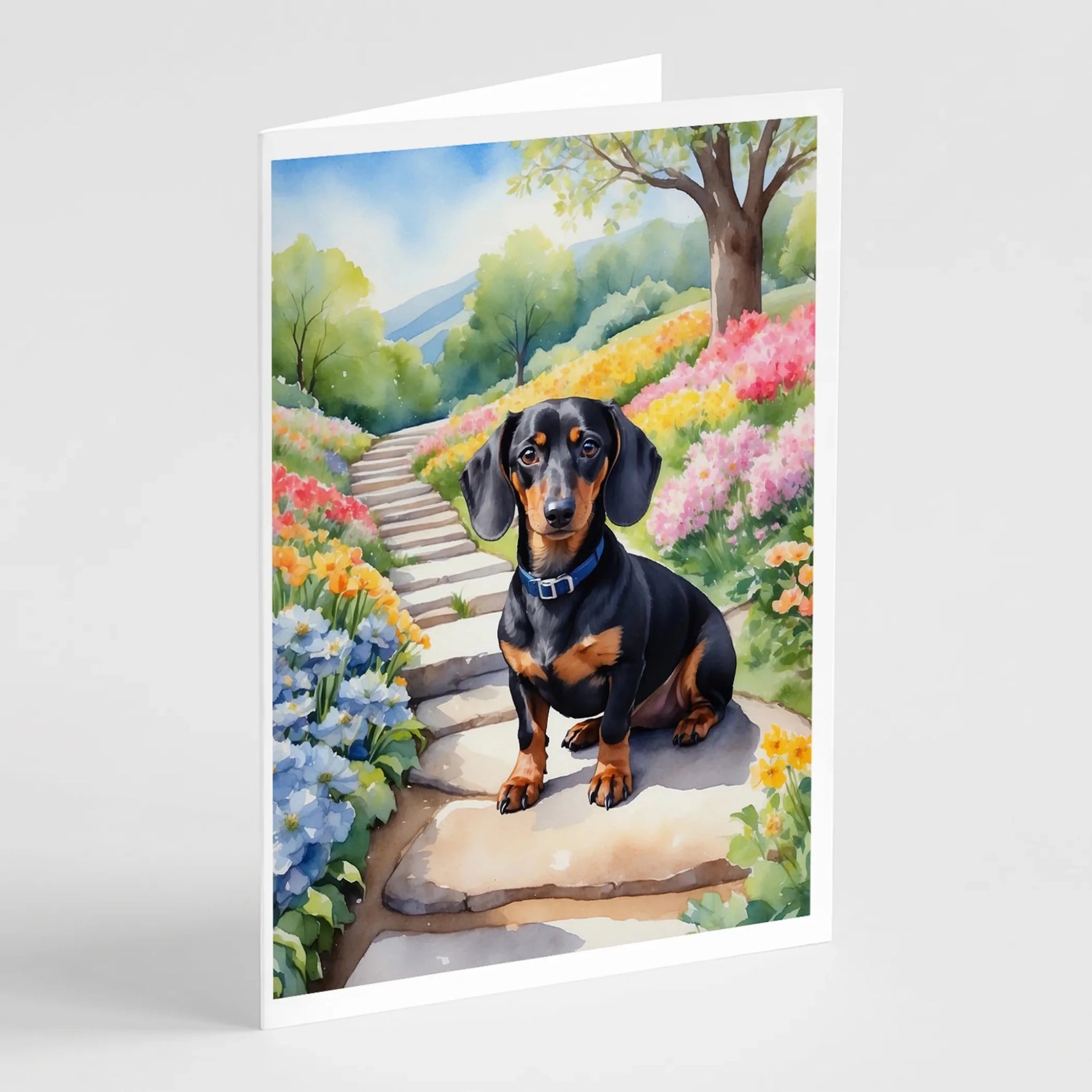 Spring Path Greeting Cards - Size: 5X7 | Pack Of: 8 | Collection name: Spring path-AMAZON FACTORY
