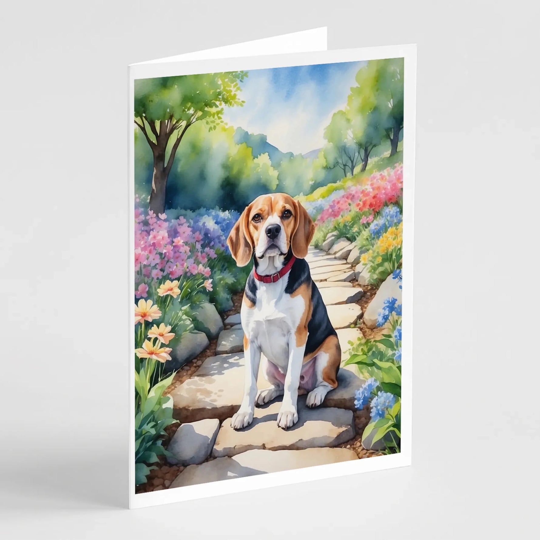 Spring Path Greeting Cards - Size: 5X7 | Pack Of: 8 | Collection name: Spring path-AMAZON FACTORY