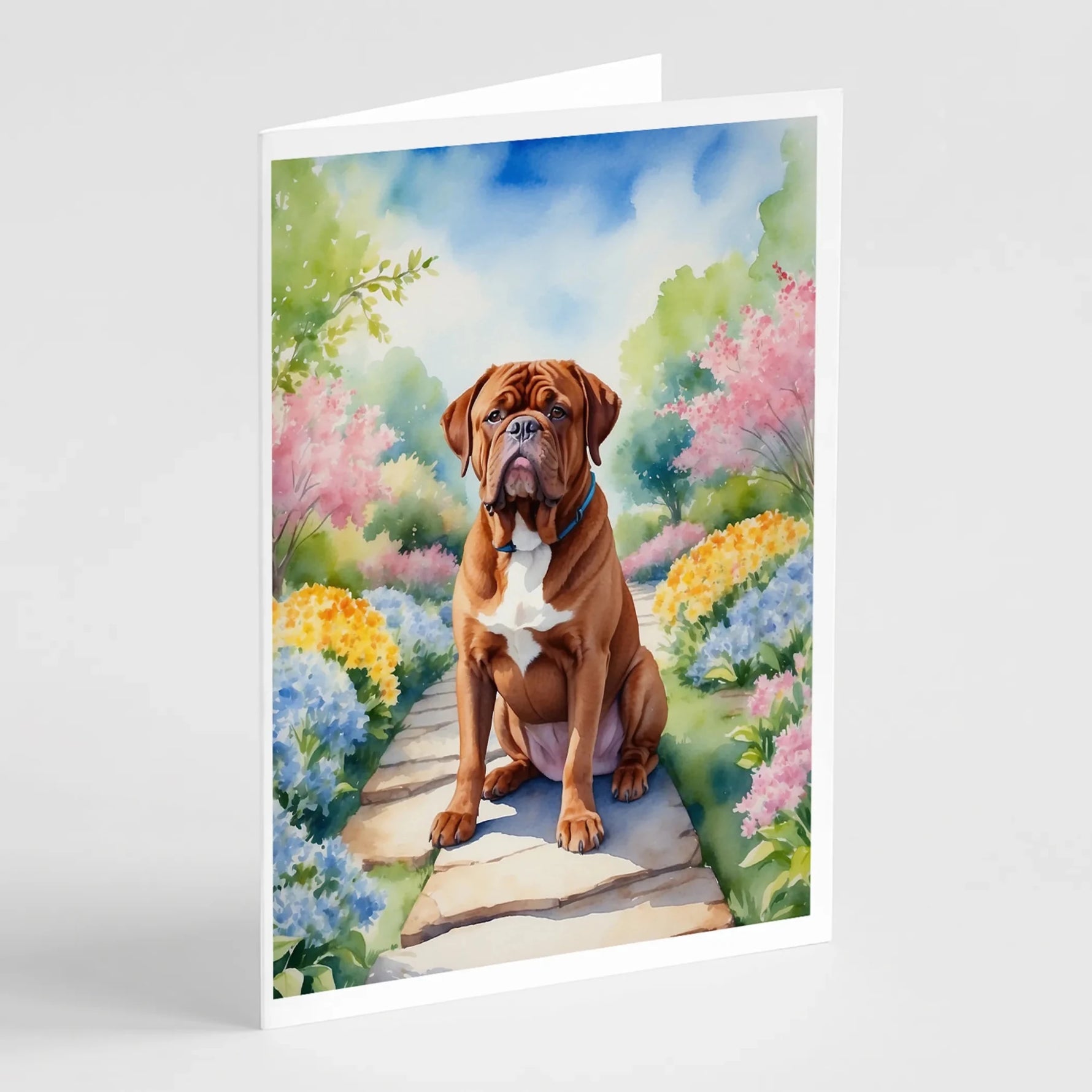 Spring Path Greeting Cards - Size: 5X7 | Pack Of: 8 | Collection name: Spring path-AMAZON FACTORY