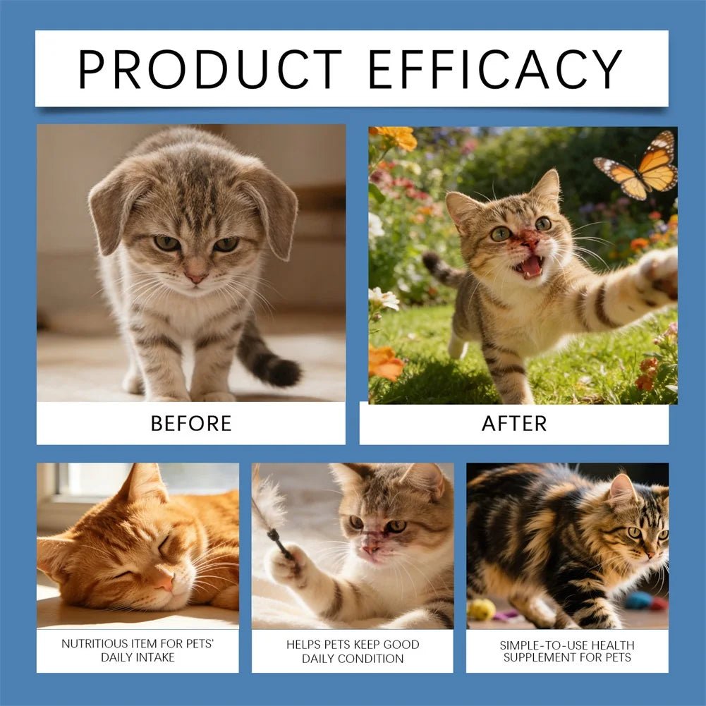 Taurine Powder For Cats Kittys Heart - Vision Daily Well - Ness Gentle On Sensitive Stomachs Cat Nutrient Supplement For Cat Food - AMAZON FACTORY