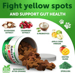 Grass Burn Spot with probiotics, cranberry Chews for Dogs-AMAZON FACTORY