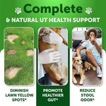 Grass Burn Spot with probiotics, cranberry Chews for Dogs-AMAZON FACTORY
