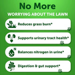 Grass Burn Spot with probiotics, cranberry Chews for Dogs-AMAZON FACTORY